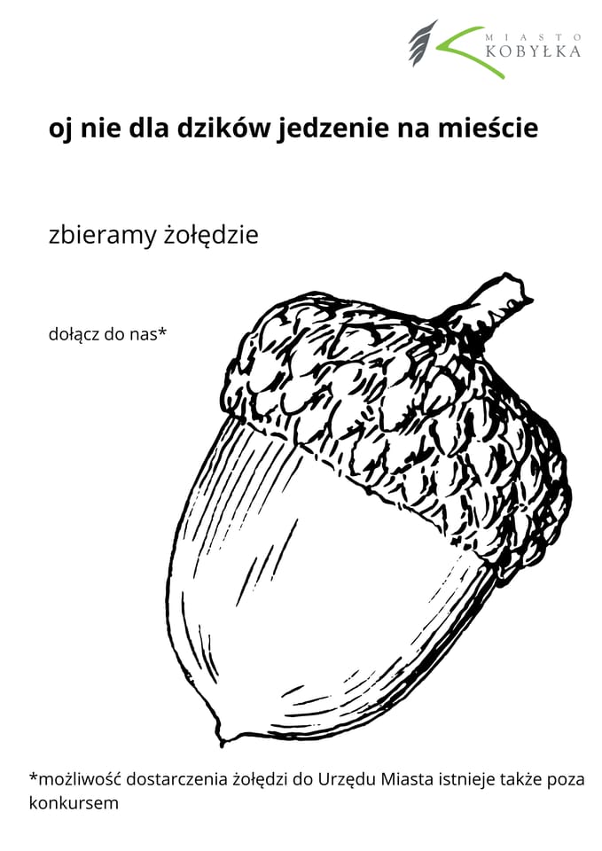Kobyłka zaprasza przedszkola i szkoły do jesiennego konkursu zbierania żołędzi