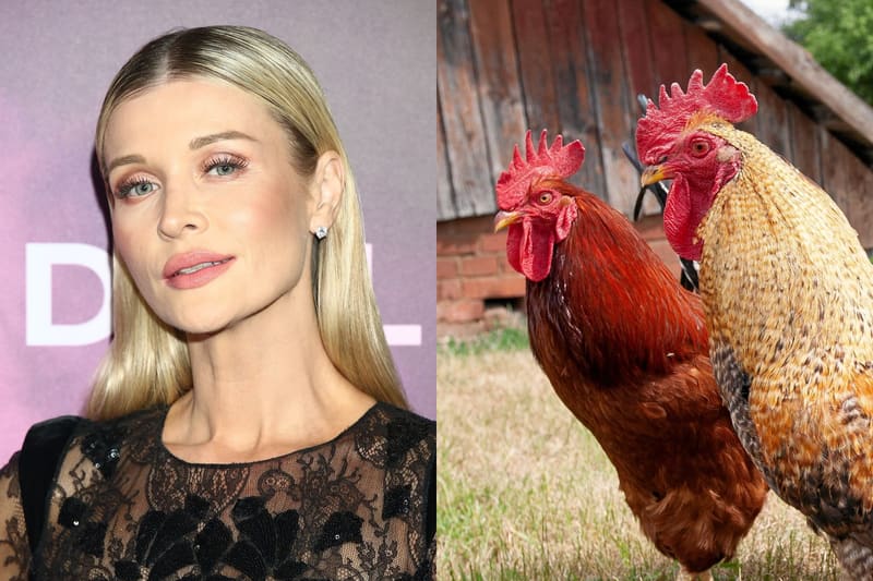Joanna Krupa pokazuje zawartość lodówki i tłumaczy swoje zasady zakupowe