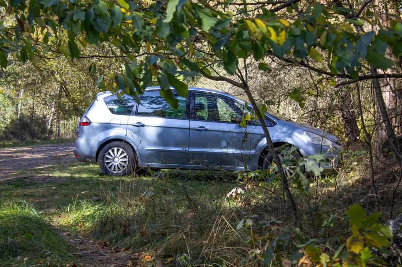 Wjazd autem do lasu na grzyby grozi mandatem. O czym muszą pamiętać kierowcy