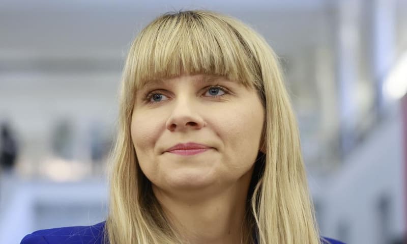Trzy kluby zapowiadają wnioski o odwołanie Moniki Hornej-Cieślak z funkcji RPD
