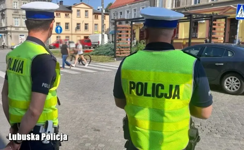 Kiedy kierowca może pojechać po przejściu piesim? Mandat za błąd to 1500 zł