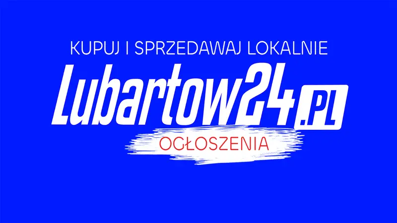 Szaro-biała kotka znalazła tymczasowe schronienie i szuka stałego domu