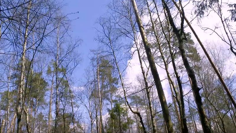 Rosyjski Mi-8 na krótko wleciał w polską przestrzeń powietrzną na północ od Braniewa