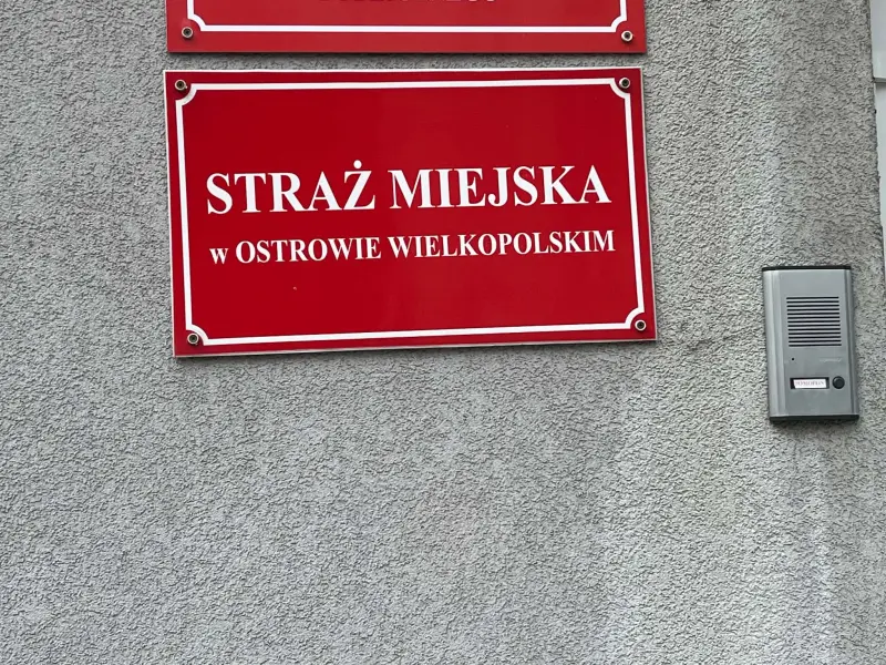 Straż miejska może wystawiać mandaty za kolejne wykroczenia. Wideo wyjaśnia zmiany