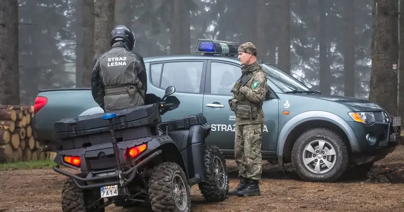 Straż Leśna zwiększa liczbę kontroli w lasach w ramach akcji Jesień 26